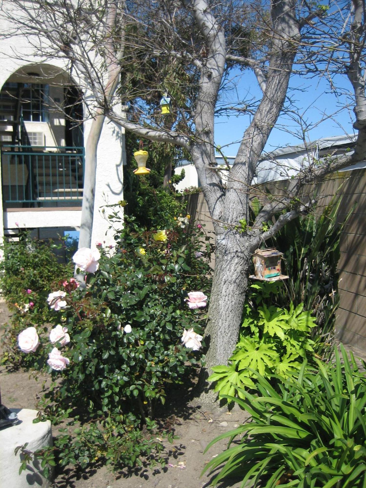 Oceanview Motel Huntington Beach Exterior foto