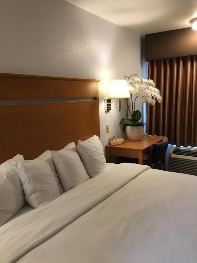 Oceanview Motel Huntington Beach Exterior foto